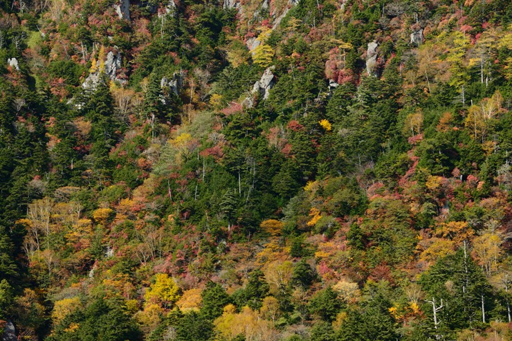 f0222161_13304042.jpg