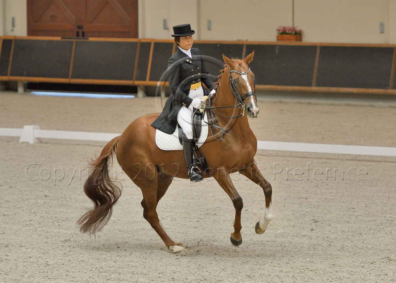 第37回兵庫県親善馬術大会(Ⅰ)馬場馬術大会_a0111162_2033295.jpg