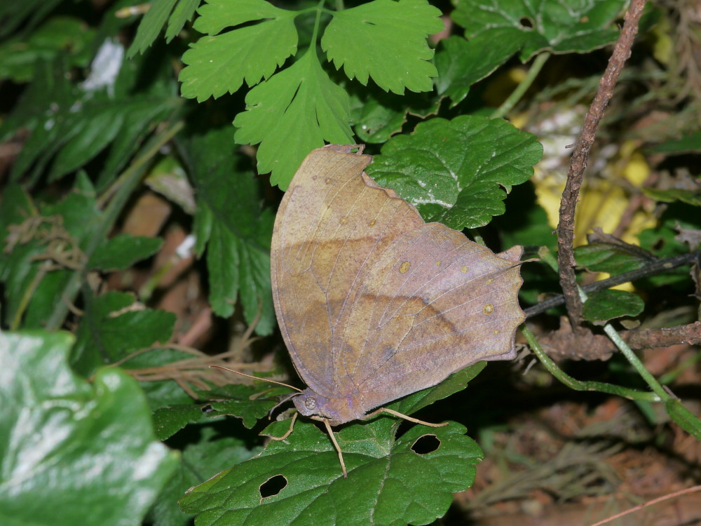 a0146869_60494.jpg