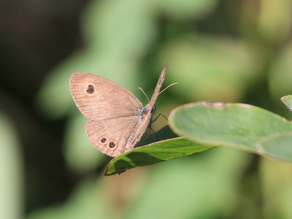 a0146869_6161.jpg
