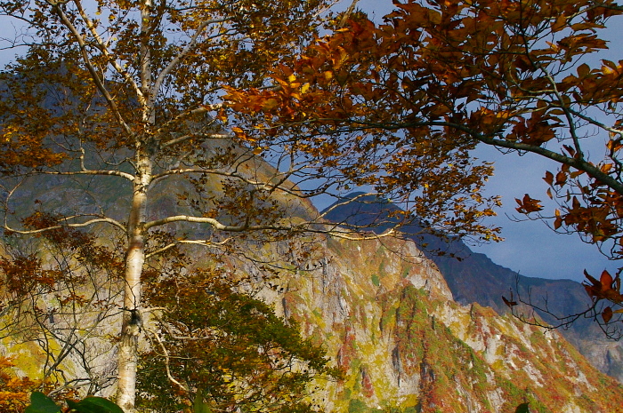 e0292469_1836345.jpg