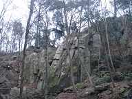 人材育成研修「たんと塾」 パート3 野呂山を探検編_e0175370_1364261.jpg