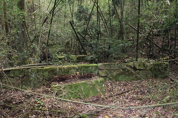 人材育成研修「たんと塾」 パート3 野呂山を探検編_e0175370_1371655.jpg