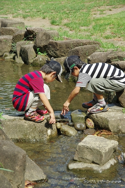 ■☆・。・　子供と思いっきり遊んでみる　・。・☆■_b0217381_06191.jpg