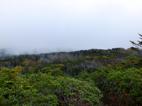 北八ヶ岳(中山、にゅう、白駒池)〜10月6日(土)〜　その⑥_a0043982_16193932.jpg