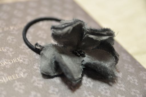 一つの花びらから ,, =CERASUS=_b0110582_2133149.jpg