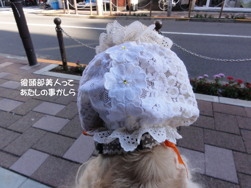 f0218182_12544119.jpg