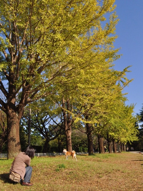 城址公園の匂い_a0126590_22433943.jpg