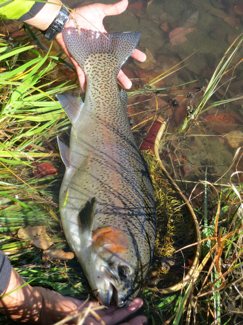 f0166390_22455261.jpg