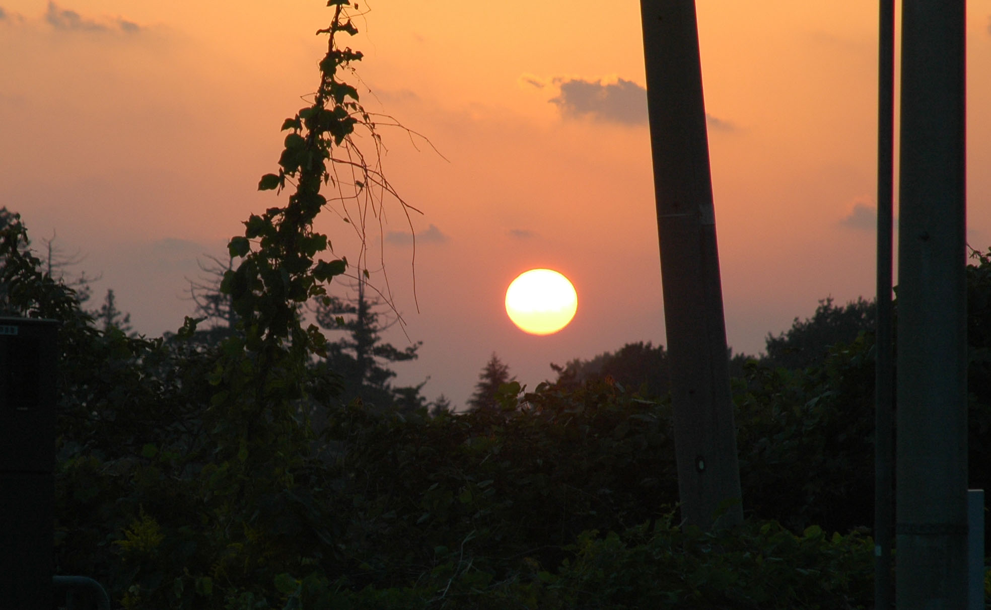 d0234293_8421821.jpg
