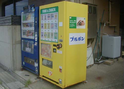 ●東尋坊にて、その1_d0053294_1952229.jpg