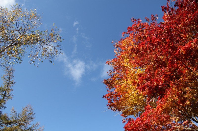 c0213096_17164564.jpg