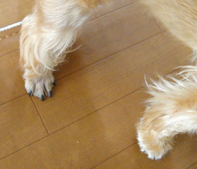 c0094999_1213767.jpg