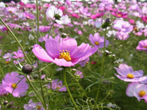 a0267500_9365897.jpg