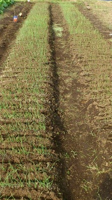 e0270403_1133396.jpg