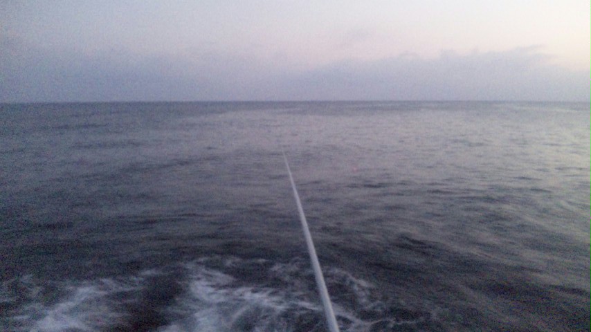 f0035404_204805.jpg