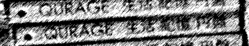 e0108705_2451344.jpg