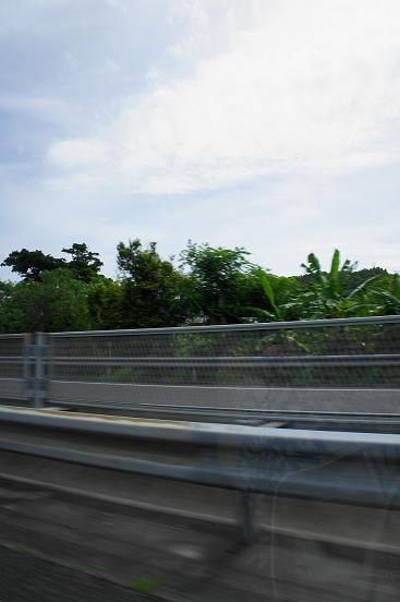 b0139906_1414617.jpg