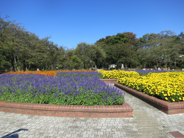 a0227507_11451.jpg