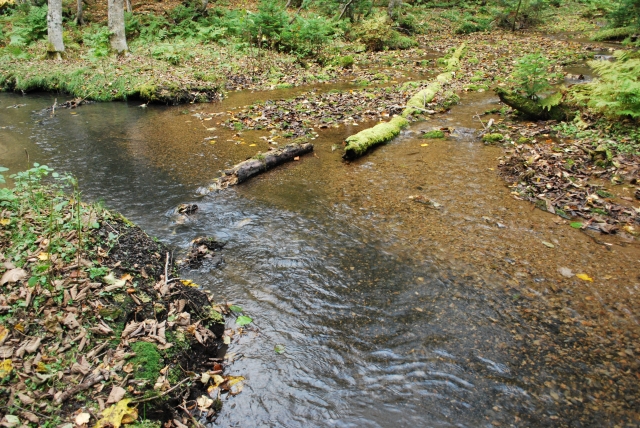 d0051707_20474867.jpg