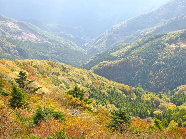 a0230008_23165734.jpg