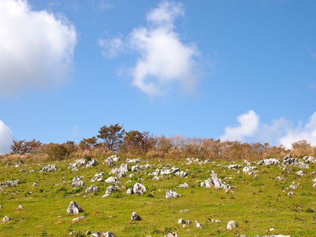 a0230008_2325491.jpg