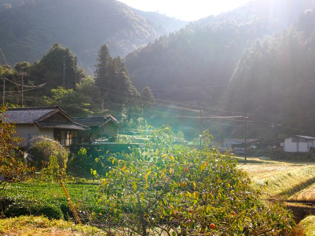 a0230008_2331568.jpg