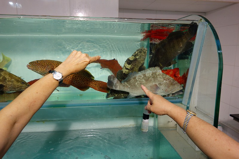 食事の前に水族館へ！！_e0181908_1312021.jpg