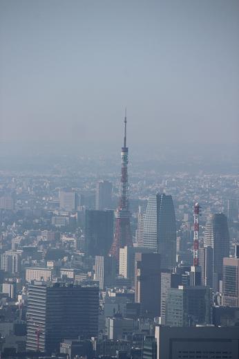 a0208109_21748.jpg