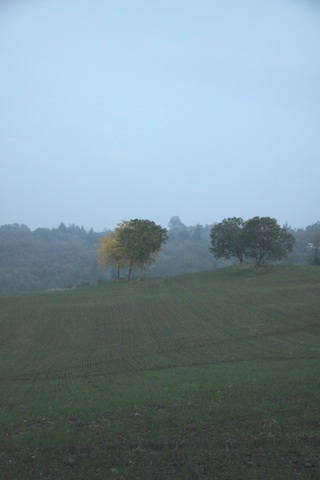 a0142810_7295277.jpg