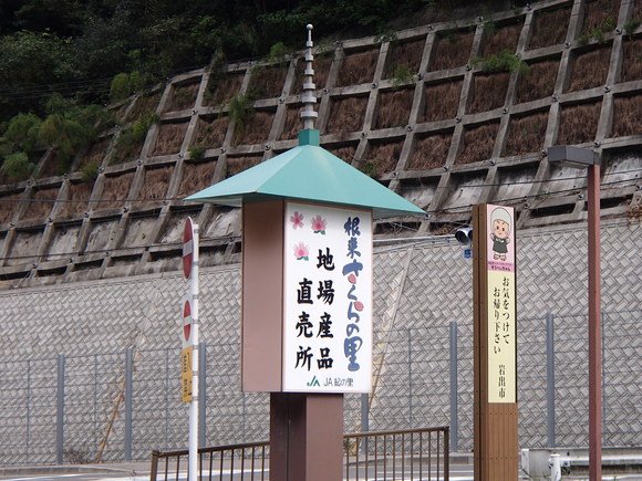 f0219810_1140216.jpg