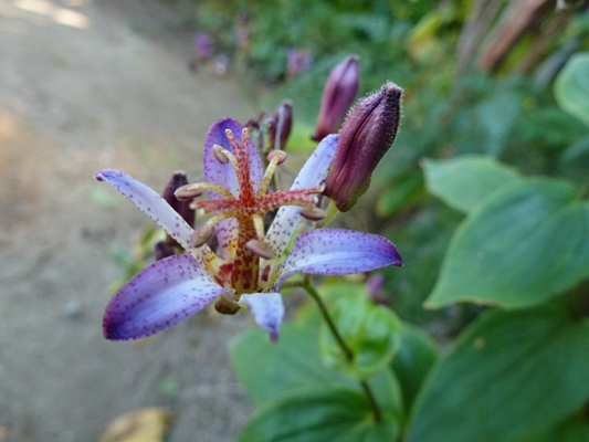 c0042418_838527.jpg