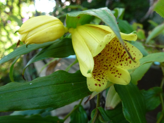 c0042418_841547.jpg