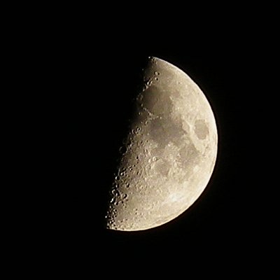 a0260019_12471.jpg