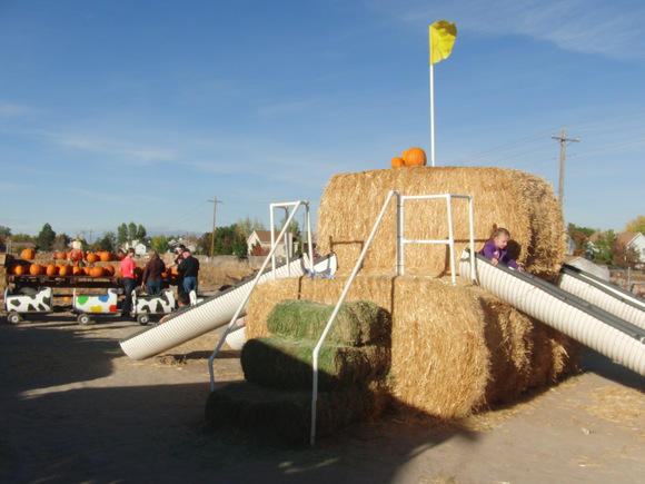 e0055320_2204448.jpg