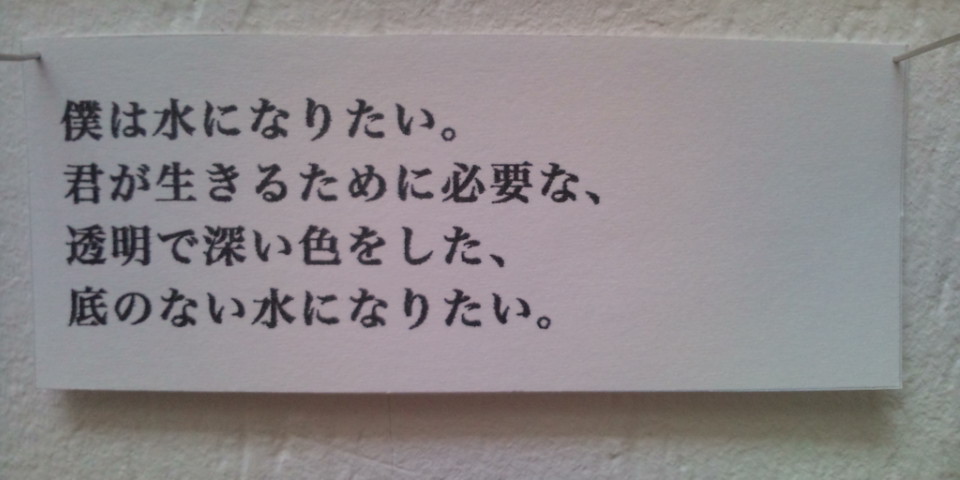 『DomesticPark ll』中間報告_d0248721_141134.jpg