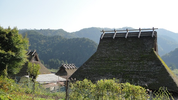 f0000521_5301868.jpg
