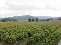 f0147922_20514941.jpg