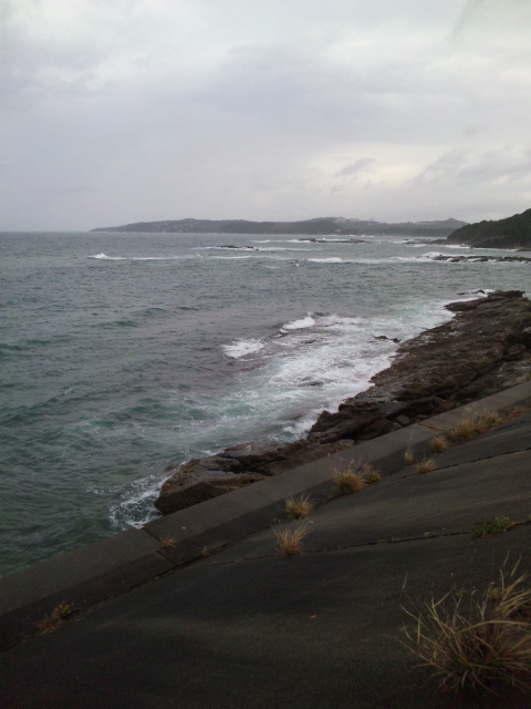 a0093423_728966.jpg