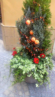 f0202427_22504544.jpg