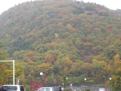a0057828_20303098.jpg
