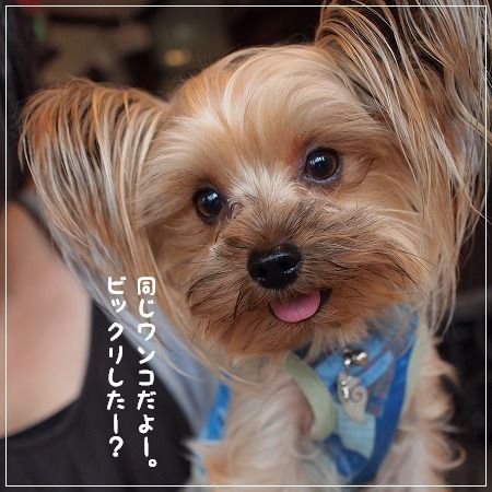 日曜日はデート日和。_d0179828_7275781.jpg