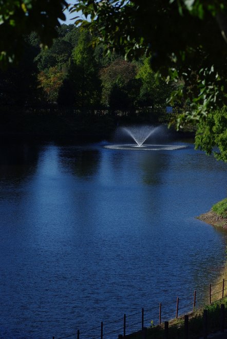 e0171336_23165850.jpg