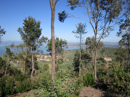 f0234936_61590.jpg