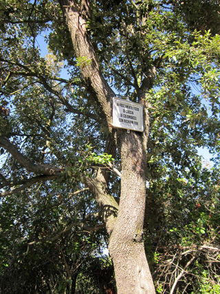 f0234936_63767.jpg