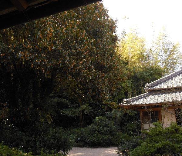 f0042737_13284629.jpg