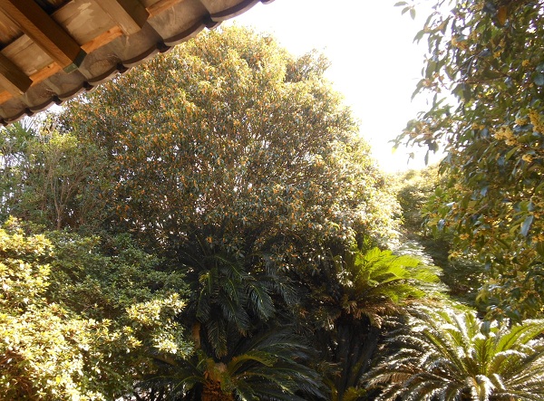 f0042737_13404484.jpg