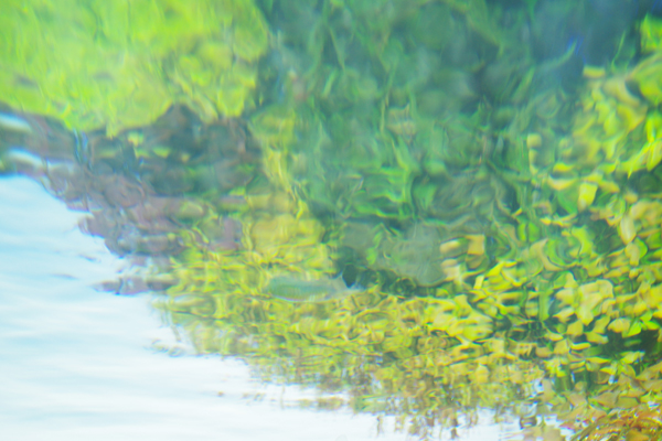 c0090139_82159100.jpg