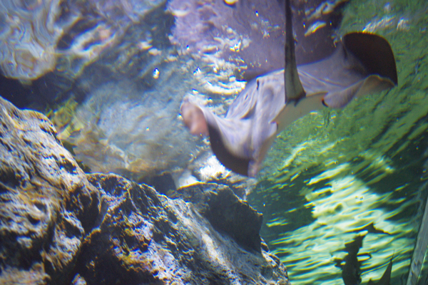 c0090139_8224420.jpg