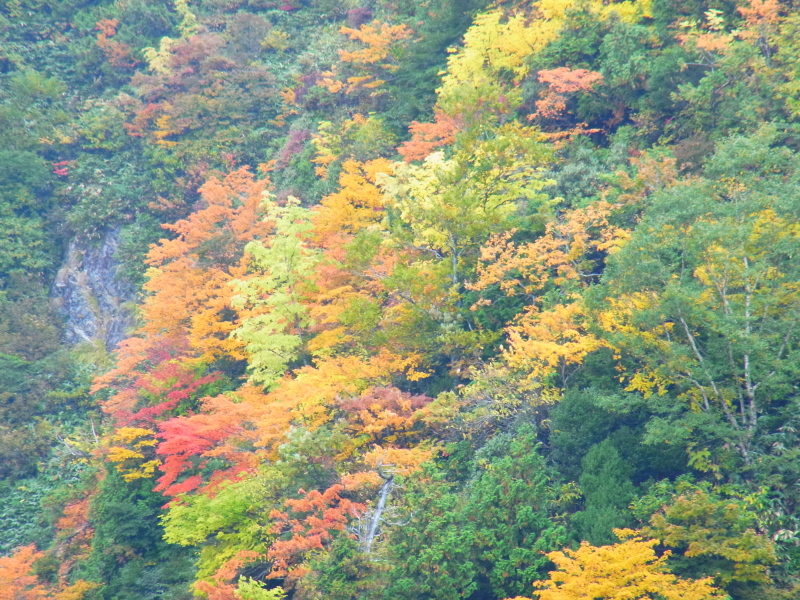 b0190242_1346476.jpg